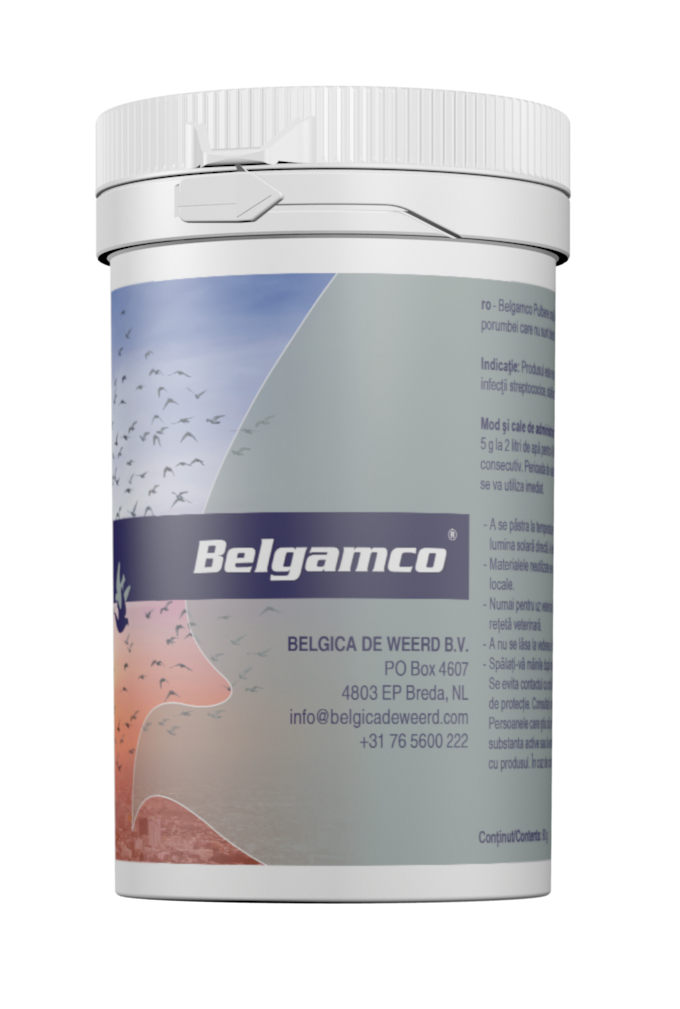 BelgAmco 80 gram (De Weerd)