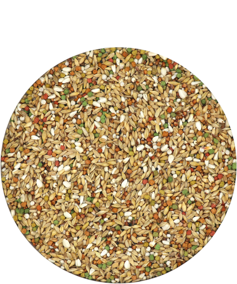 Versle-Laga Depurative (20 kg or 44 lbs)