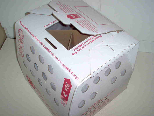 Economy Box