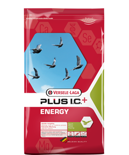 Versele-Laga Energy mix (18 kg or 39.6 lbs)