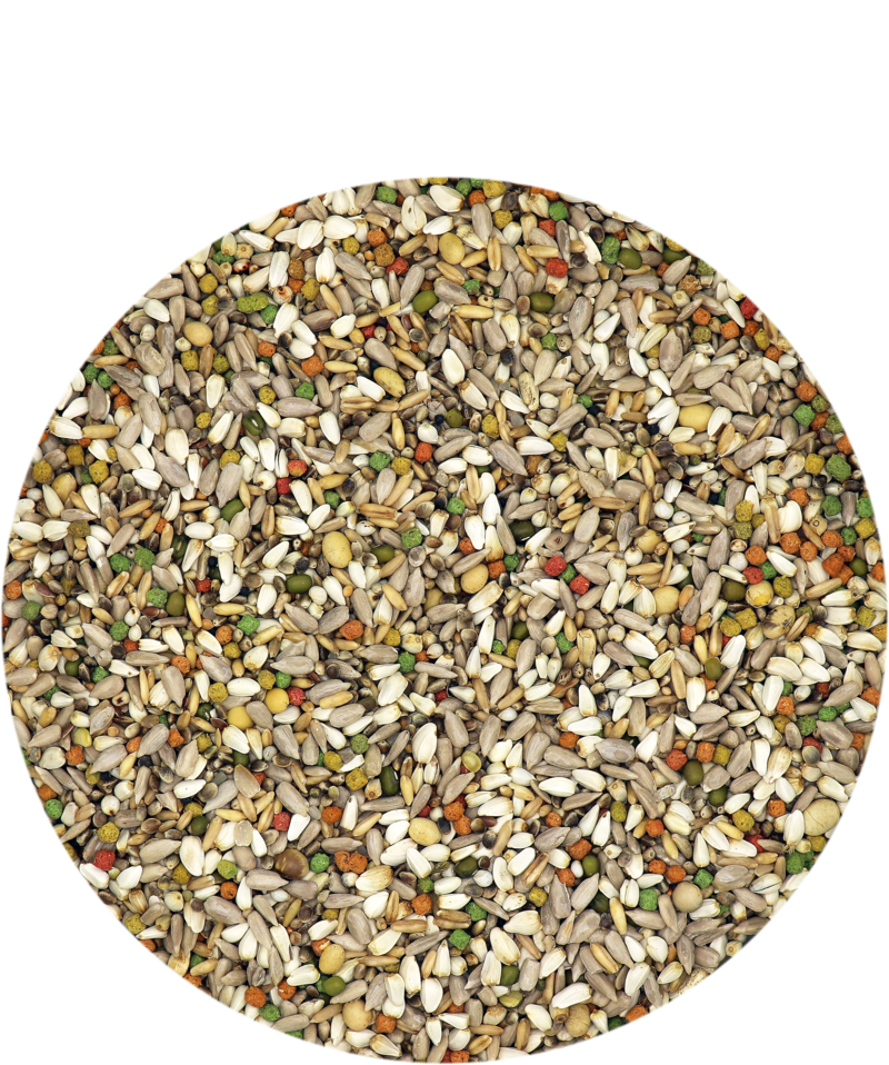Versele-Laga Energy mix (18 kg or 39.6 lbs)