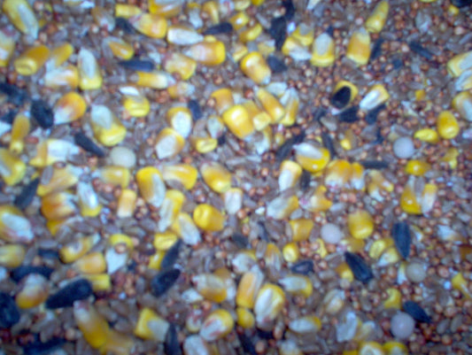 Standard Pigeon Feed Mix (50lbs.)