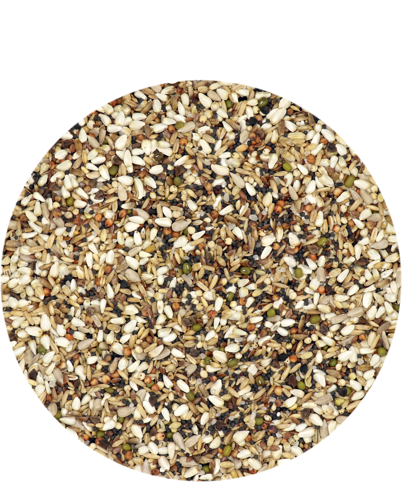 Versele-Laga Sneaky Mixture (20kg or 44 lbs)