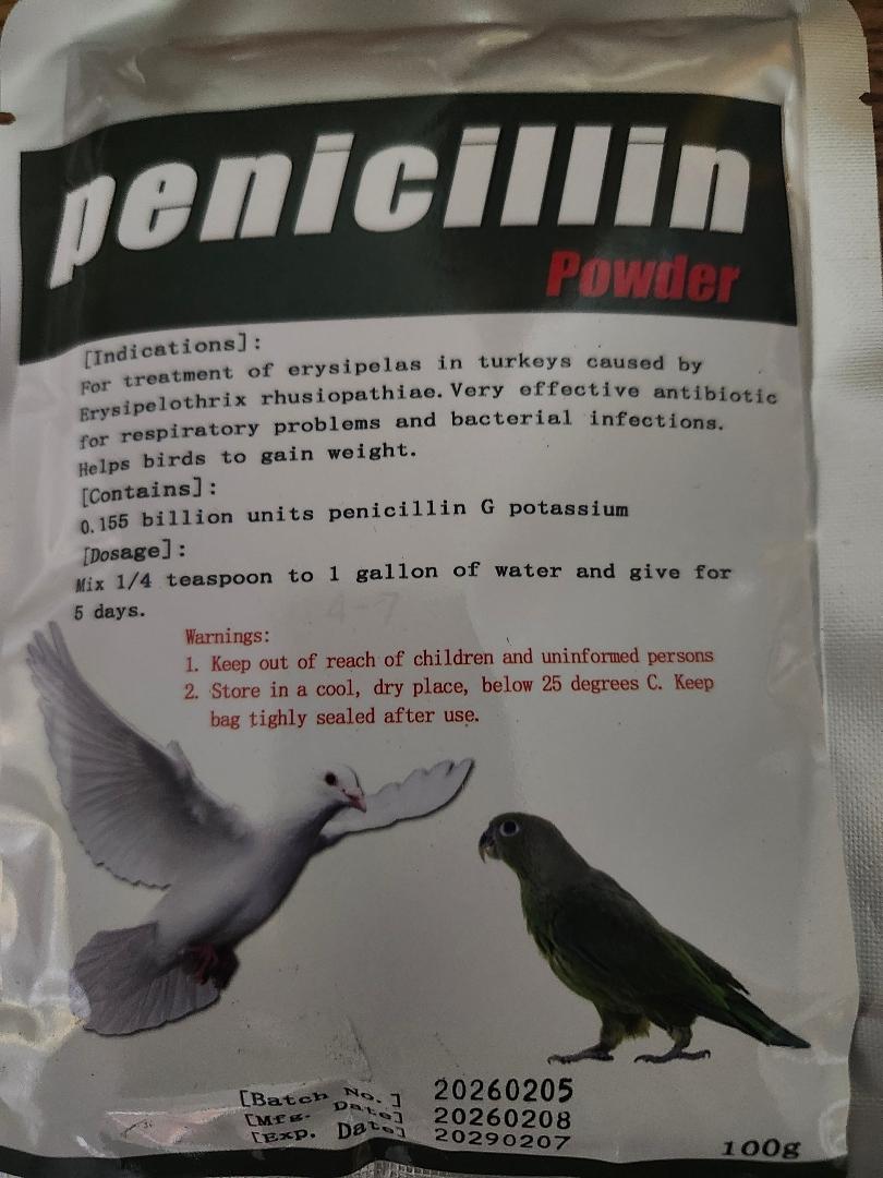 Penicillin pdr (100 grams)