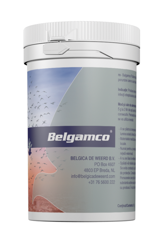 BelgAmco 80 gram (De Weerd)