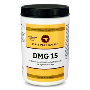 DMG 15   (16 oz)