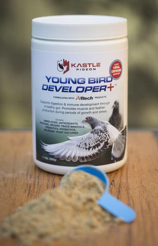 Young Bird Developer Plus (Kastle) 500 grams
