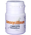 Amoxicillin tablets 10 mg.  (100 tablets)