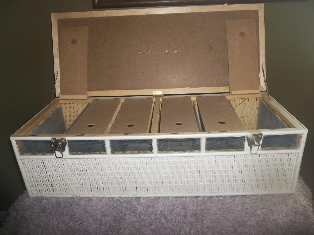 Six Bird Dove Carrying Crate