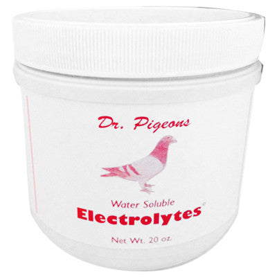 Dr Pigeon Electrolytes 20 oz.