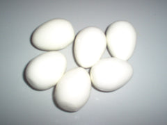 Solid Plastic Pigeon Eggs