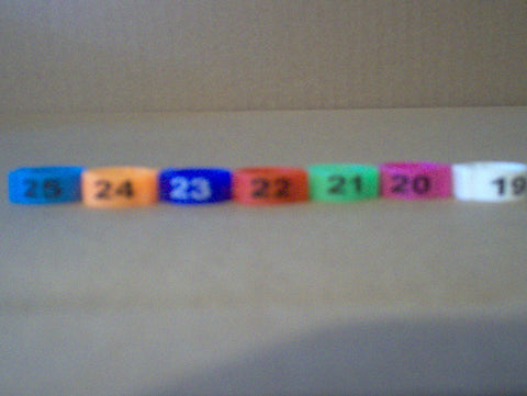 Numbered E-Z Clip Bands (1-25)