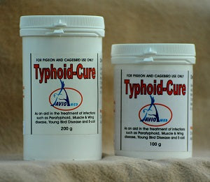 AvioMed Typhoid-Cure pdr (100 Grams)