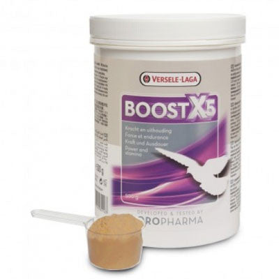 Boost X5 (500 grams)